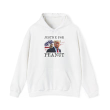 Load image into Gallery viewer, Justice for Peanut Unisex Hoodie
