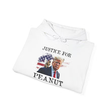 Load image into Gallery viewer, Justice for Peanut Unisex Hoodie
