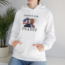 Load image into Gallery viewer, Justice for Peanut Unisex Hoodie
