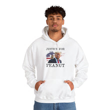 Load image into Gallery viewer, Justice for Peanut Unisex Hoodie
