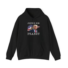 Load image into Gallery viewer, Justice for Peanut Unisex Hoodie
