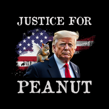 Load image into Gallery viewer, Justice for Peanut Black Ceramic Mug
